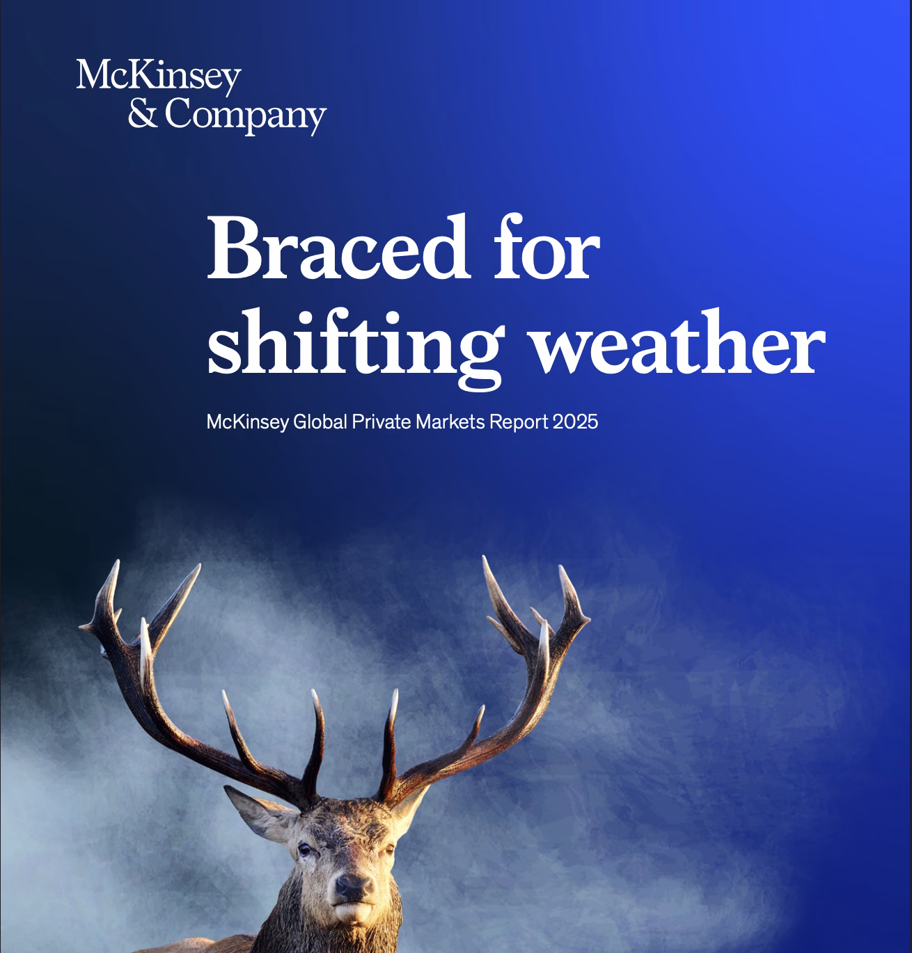 McKinsey Global Private Markets Report 2025